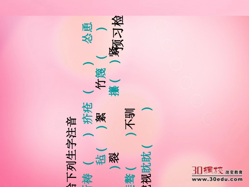 人教版（新）小学语文五年级上册《慈母情深》课件_第2页