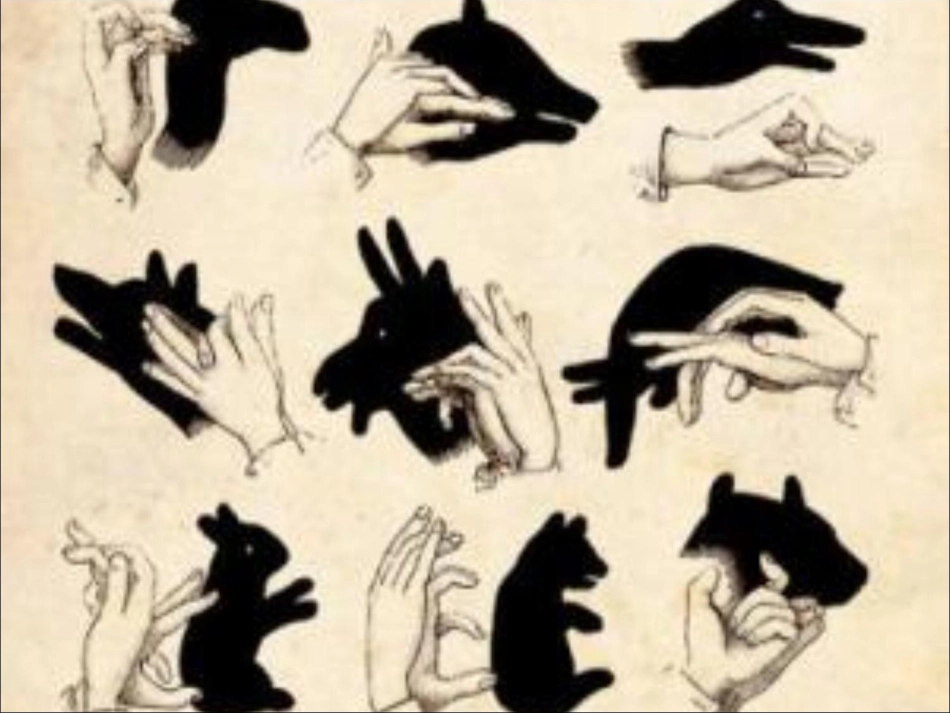 影子第一课时_第3页