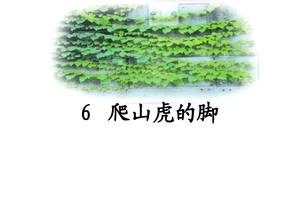 爬山虎的脚 (2)_第1页