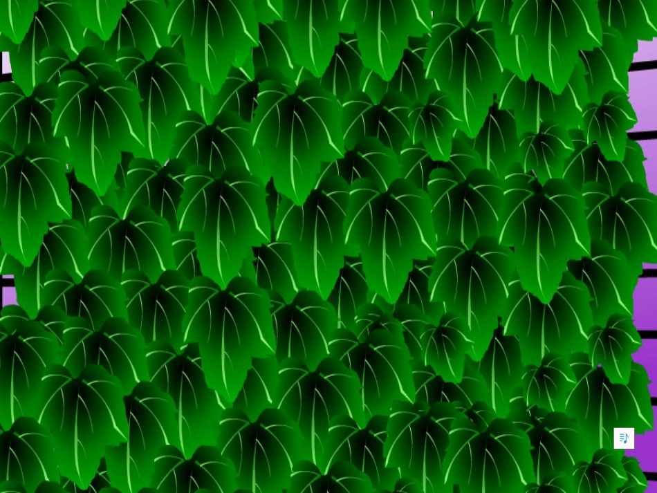 爬山虎的脚 (2)_第3页