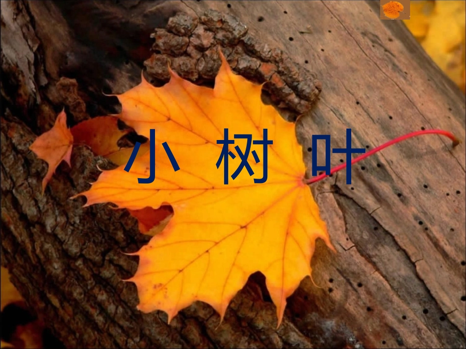小树叶幻灯片_第1页