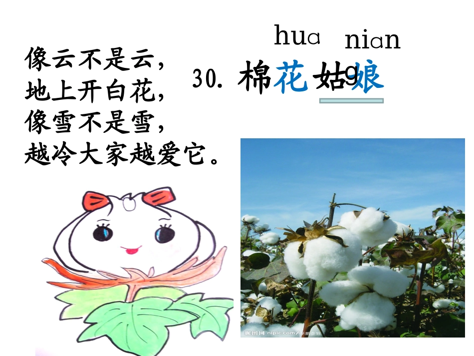 棉花姑娘课件_第2页