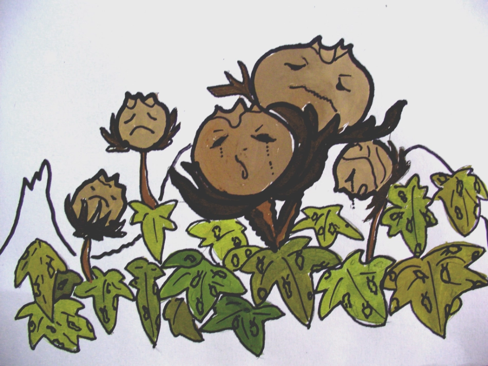 棉花姑娘课件_第3页