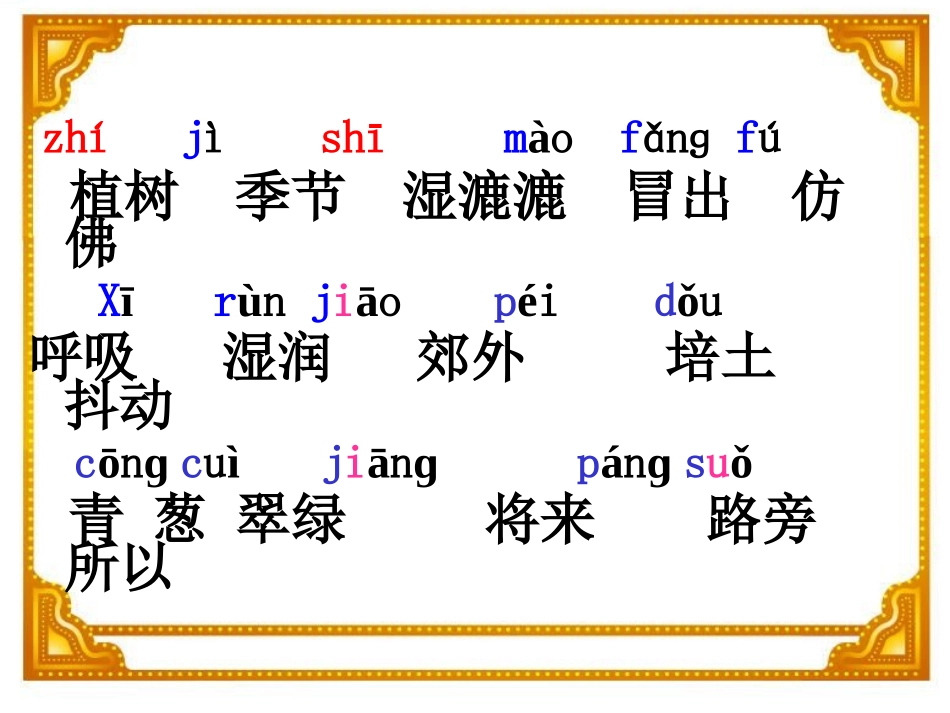 植树的季节课件_第2页