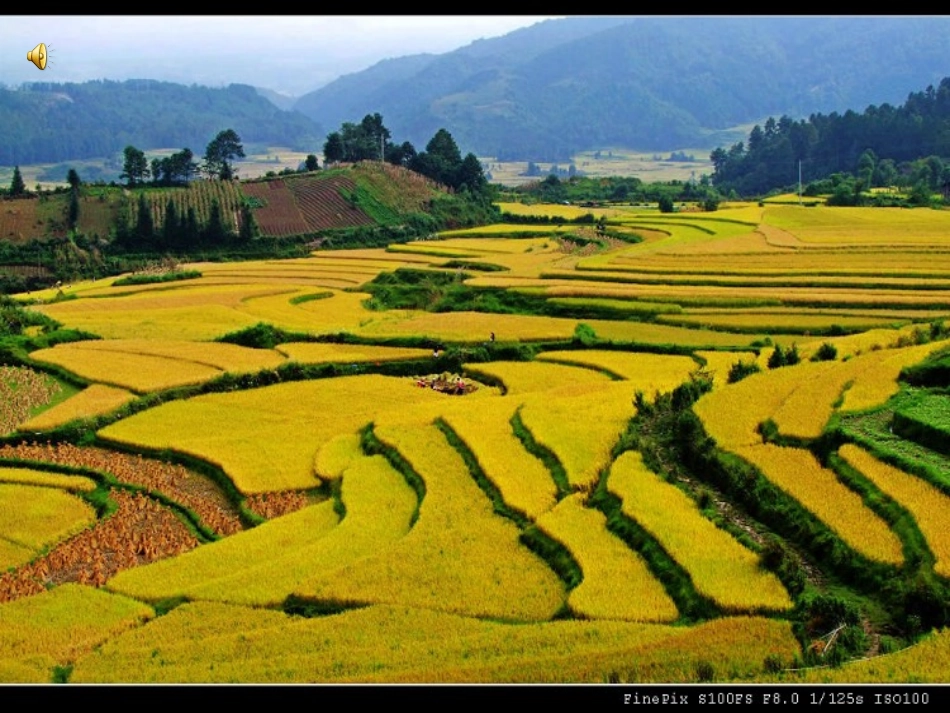 三年级语文上册第三组语文园地三课件_第3页