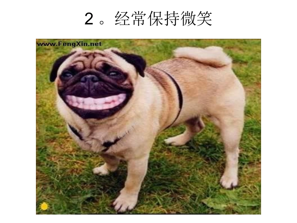 看图教你如何做人_第3页