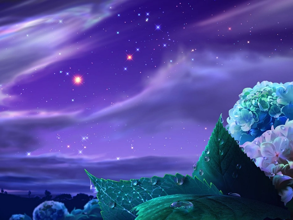 一年级语文下册第四组15夏夜多美课件_第1页