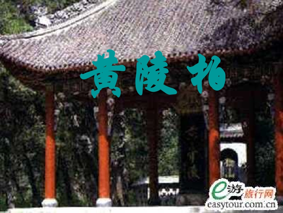 七年级语文下册 《黄陵柏》课件 河大版_第1页