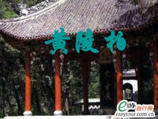 七年级语文下册 《黄陵柏》课件 河大版