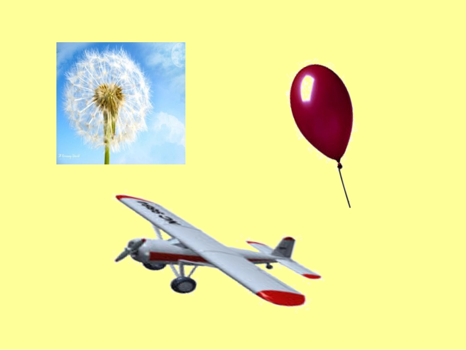 中班语言：我也能飞_第2页