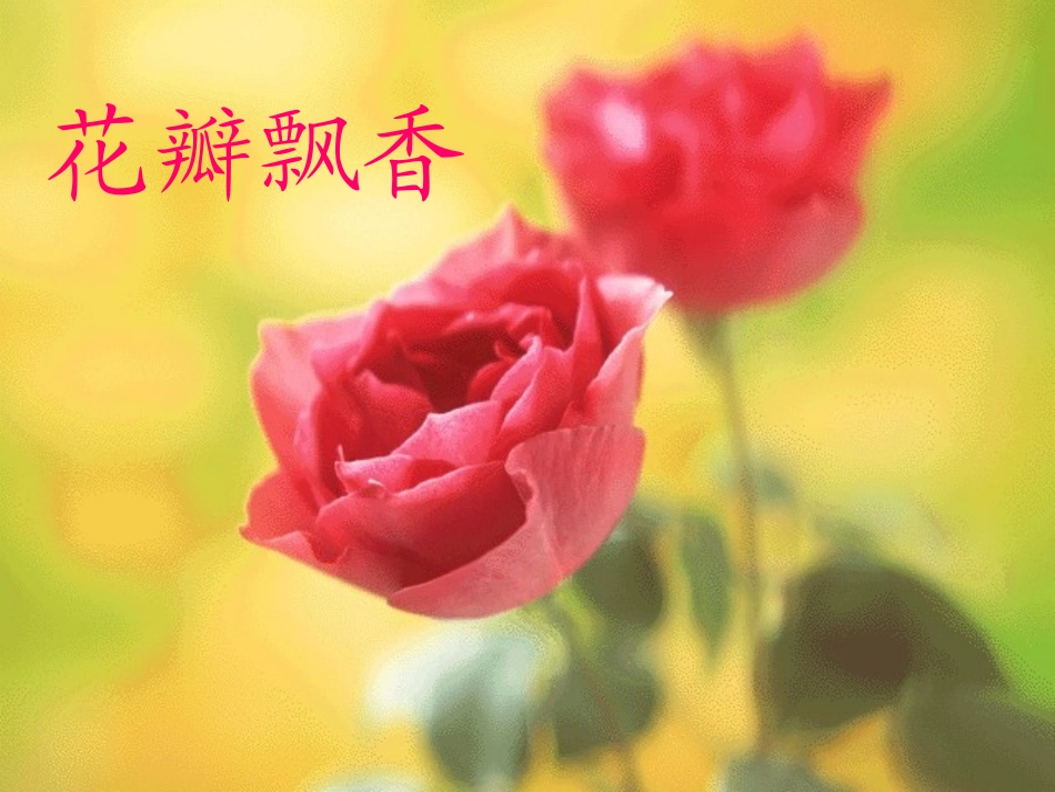 三年级语文下册 花瓣飘香课件 苏教版_第2页