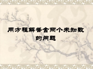 用方程解答含两个未知数的问题