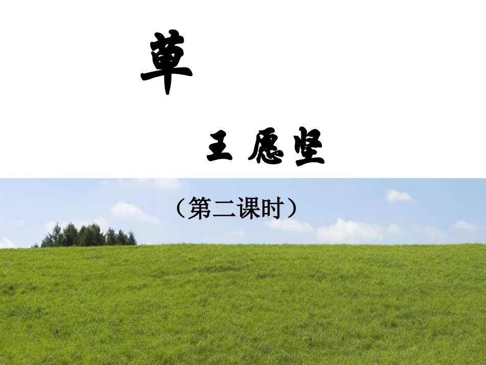 王愿坚《草》_第1页