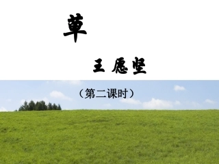 王愿坚《草》