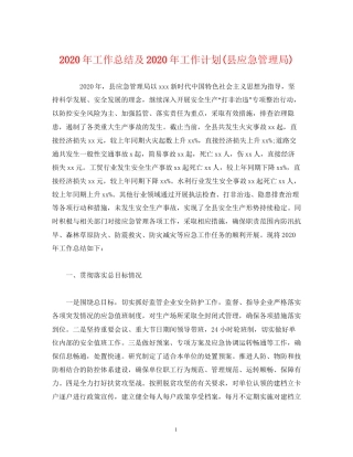 经典范文年工作总结及年工作计划县应急管理局)