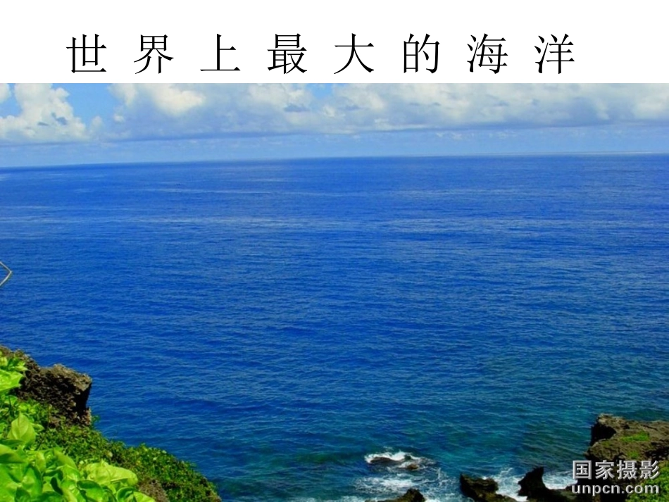 蒲公英旅行记_第2页