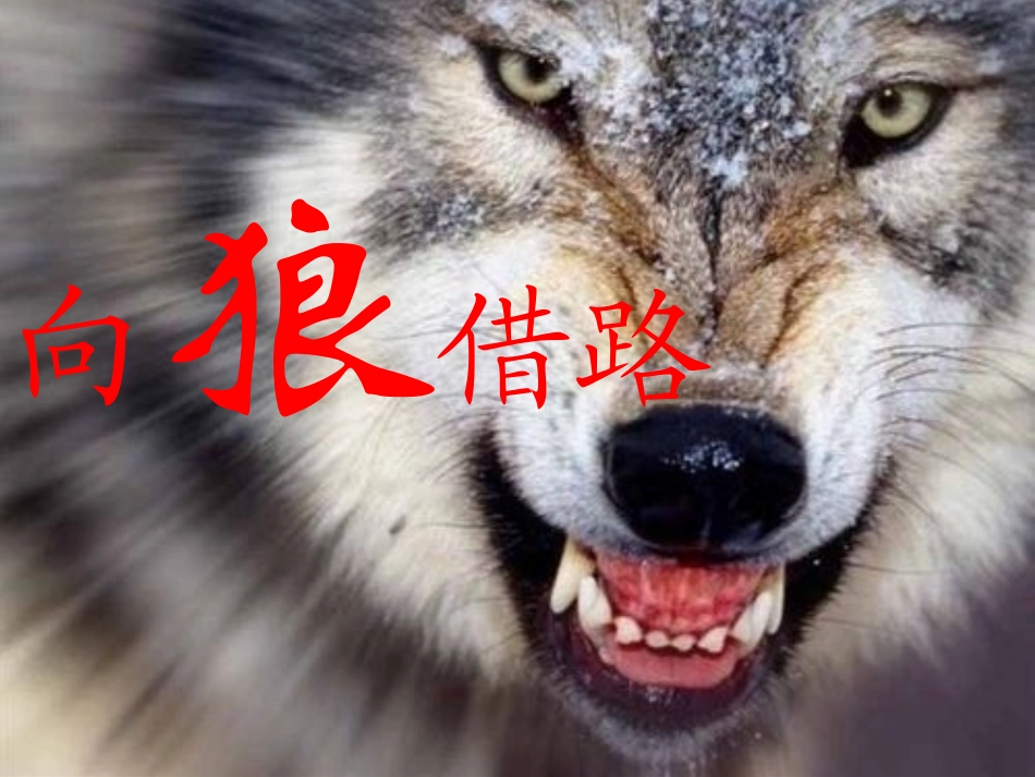 小学语文《向狼借路》教学课件 (3)_第1页