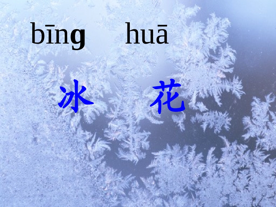 一上《冰花》_第1页