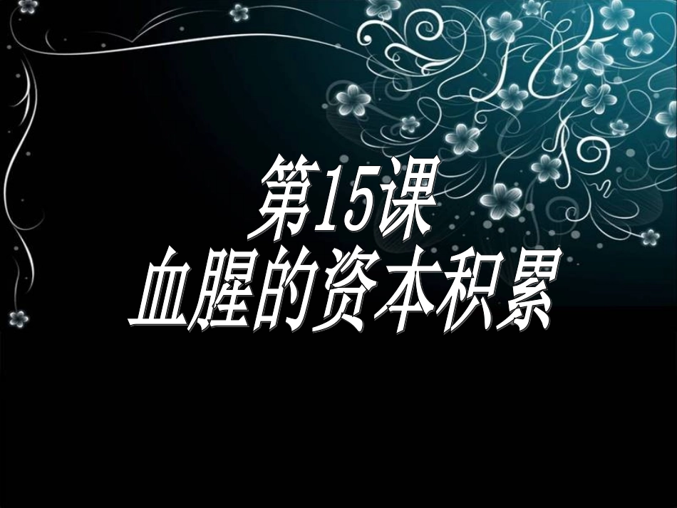 血腥的资本积累_第2页