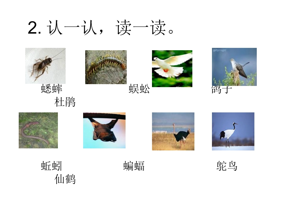 语文百花园六_第3页