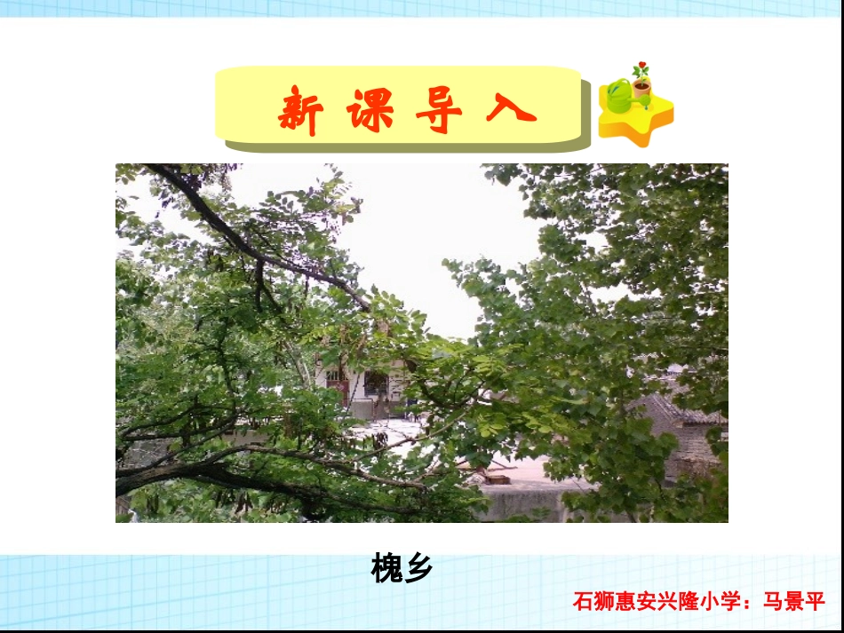 三年级上册语文——4槐乡的孩子_第1页