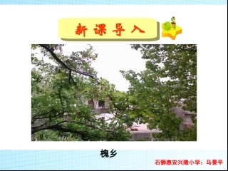 三年级上册语文——4槐乡的孩子