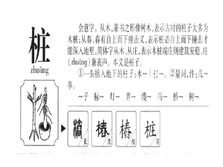 三年级下册11单元去年的树PowerPoint演示文稿