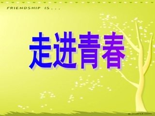 走进青春 (3)