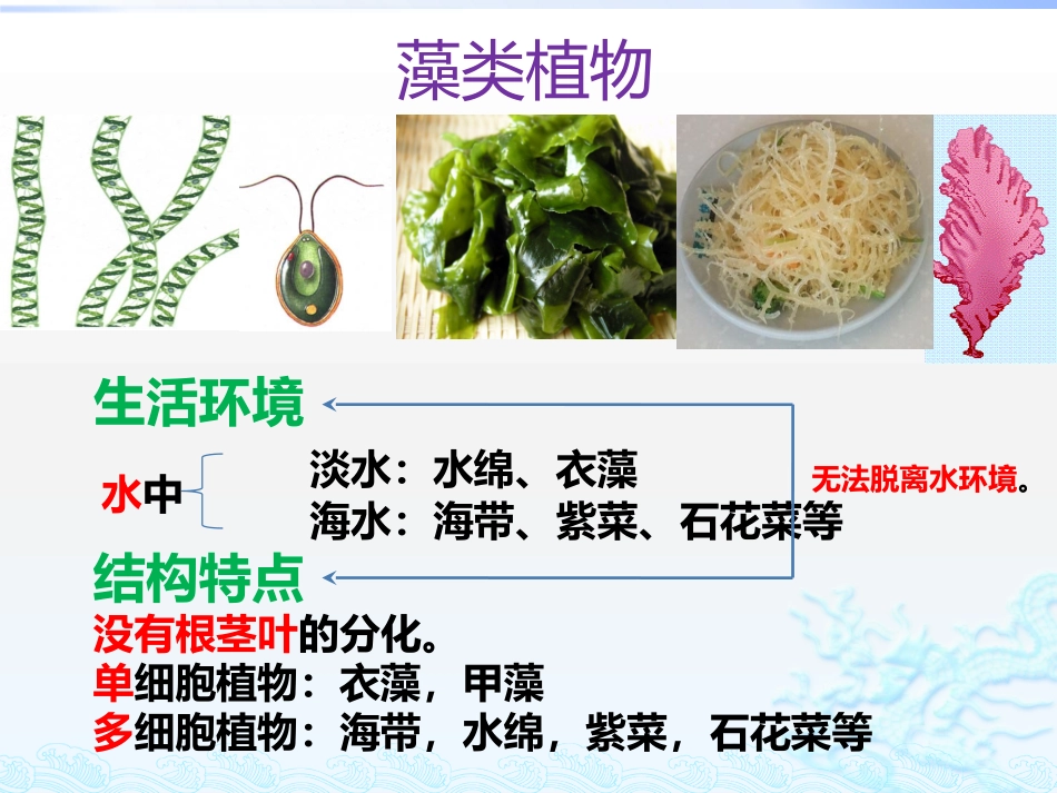 藻类苔藓植物_第3页