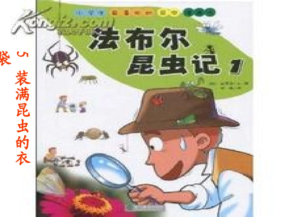 装满昆虫的衣袋_第1页