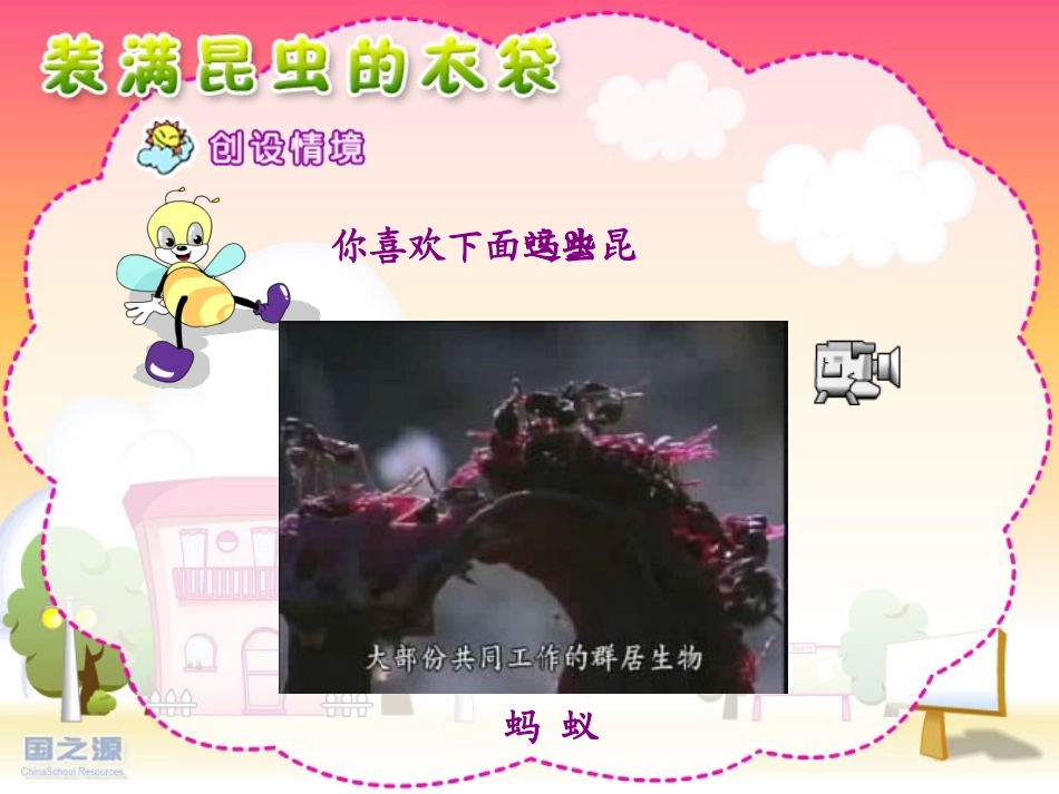 装满昆虫的衣袋_第2页