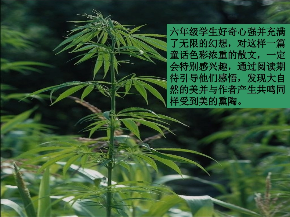 山中访友 (2)_第3页