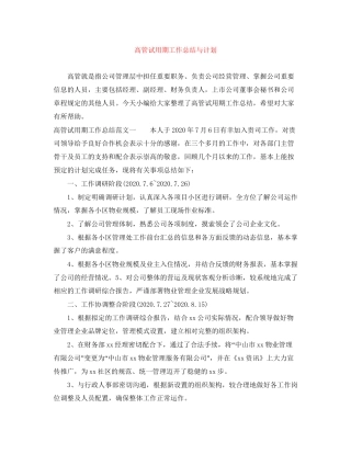 高管试用期工作总结与计划