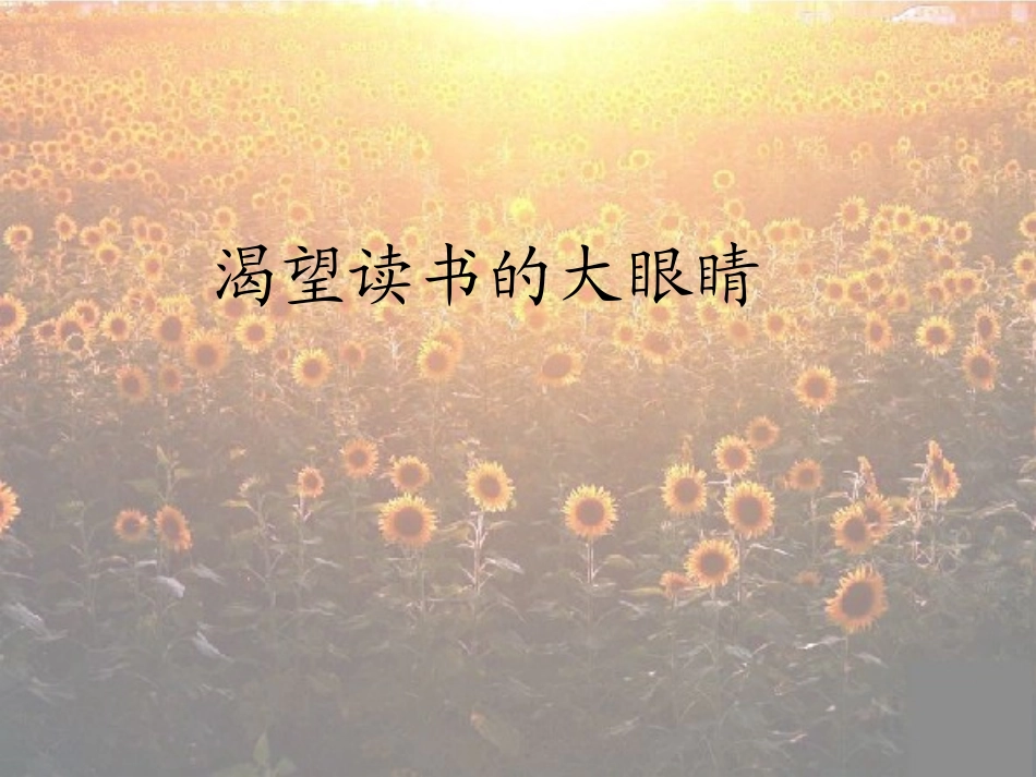 渴望读书的大眼睛_第1页