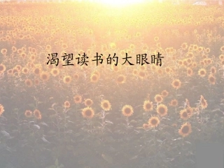 渴望读书的大眼睛