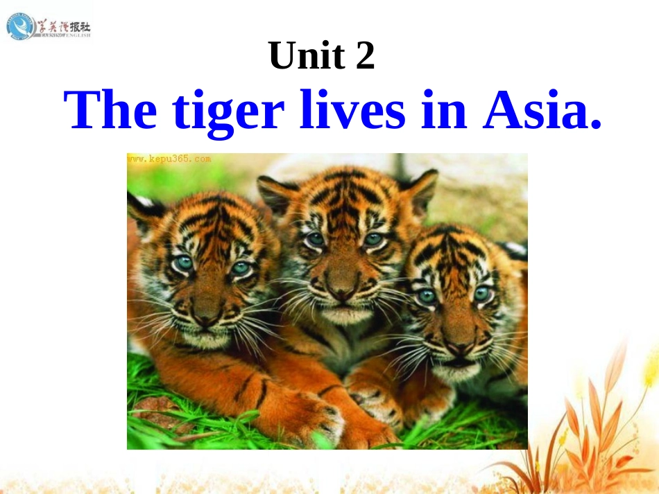 七年级上册课件--M6-Unit2_第3页