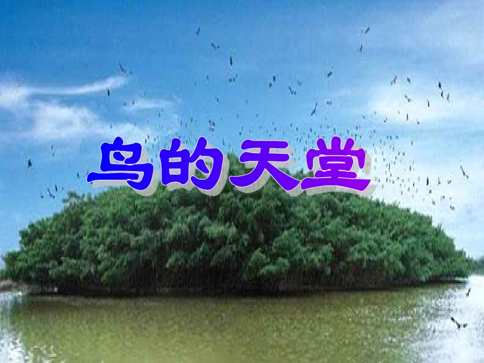 鸟的天堂_PPT课件_第1页