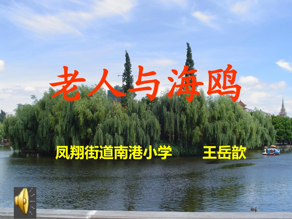 老人与海鸥(ding)_第1页