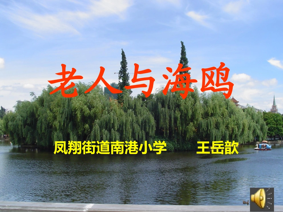 老人与海鸥(ding)_第2页