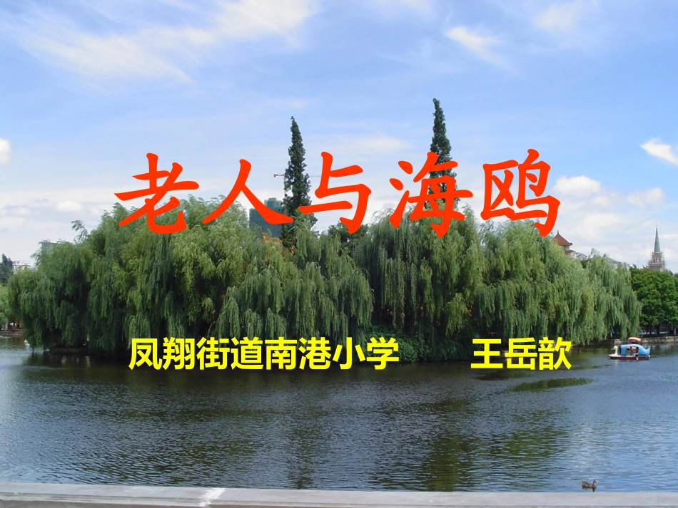 老人与海鸥(ding)_第3页