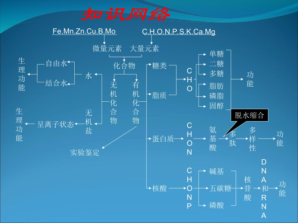 生物：高三一轮复习全套课件（必修1、2、3）（原创）人教版 (2)_第2页