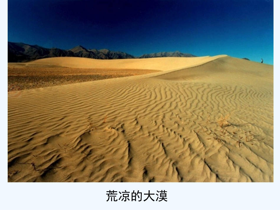 七年级语文下册 《使至塞上》课件 河大版_第3页