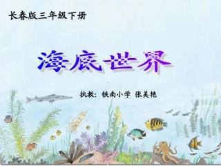 张美艳海底世界