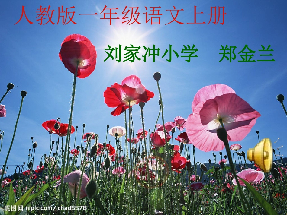 一上语课文8《阳光》_第1页