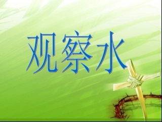 苏教版三年级科学观察水
