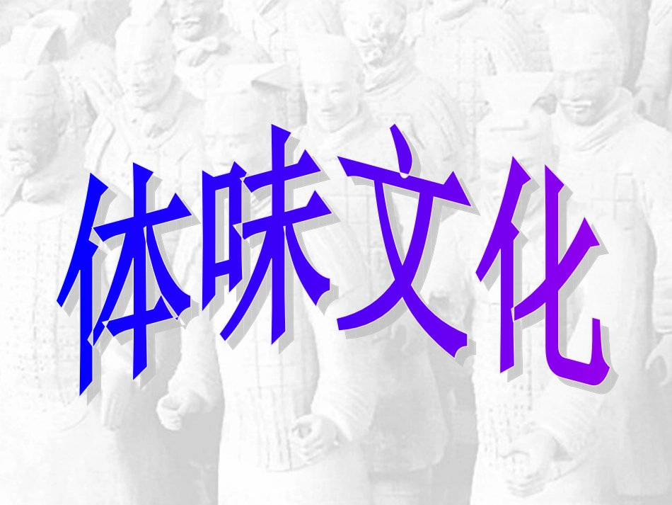 体味文化 (2)_第2页