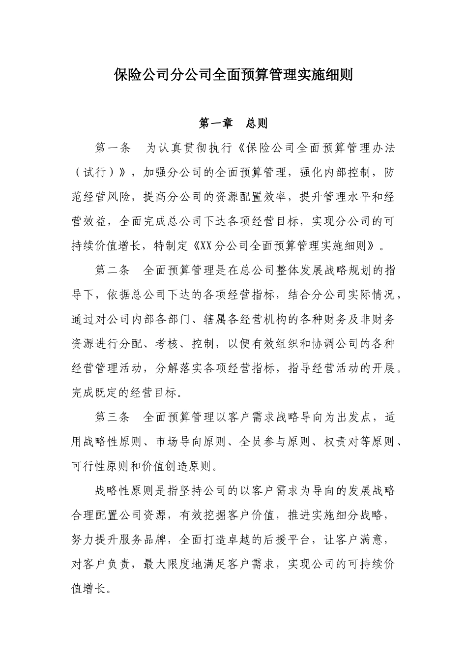 保险公司全面预算管理实施细则_第1页