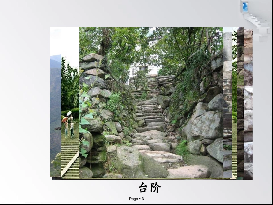 老王 (4)_第3页