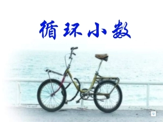 循环小数 (5)