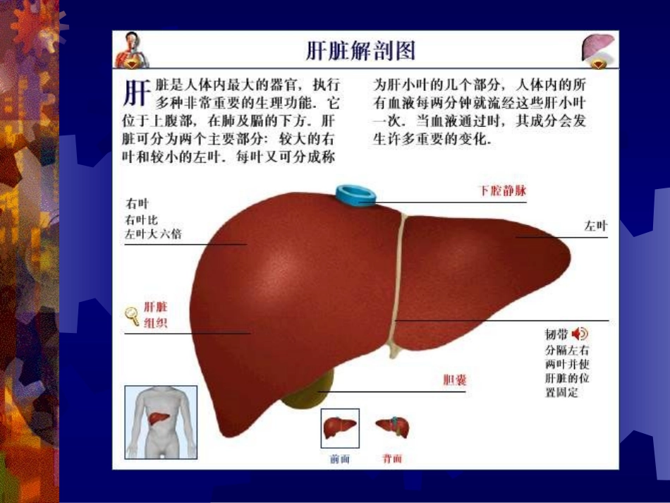 老年人肝硬化_第2页